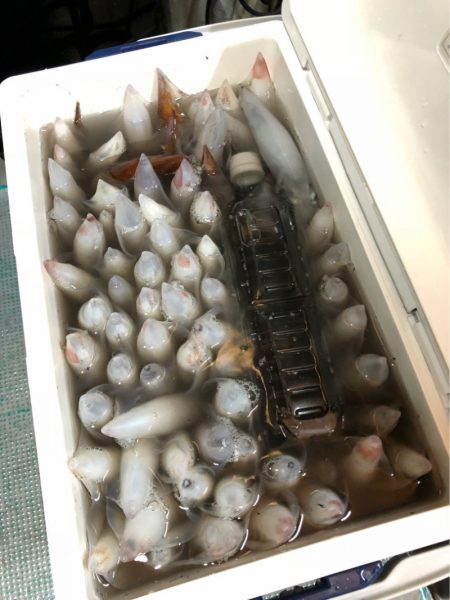 ＴＡＲＯＭＡＲＵ 釣果