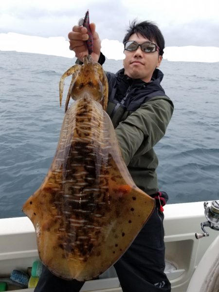 ソルトウォーターガイドフレンズ 釣果