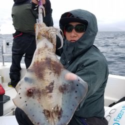 ソルトウォーターガイドフレンズ 釣果