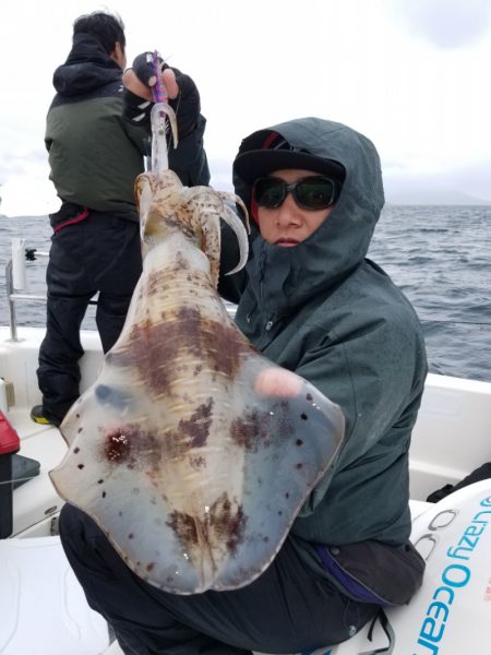 ソルトウォーターガイドフレンズ 釣果