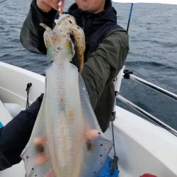 ソルトウォーターガイドフレンズ 釣果