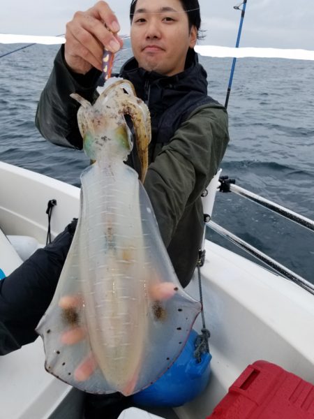 ソルトウォーターガイドフレンズ 釣果