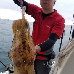 ソルトウォーターガイドフレンズ 釣果