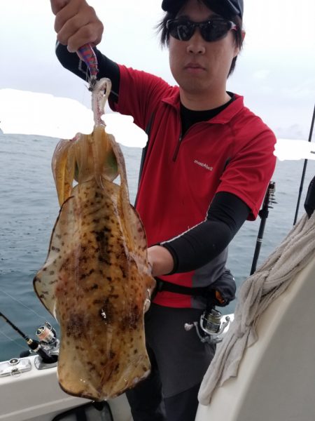 ソルトウォーターガイドフレンズ 釣果