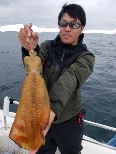 ソルトウォーターガイドフレンズ 釣果