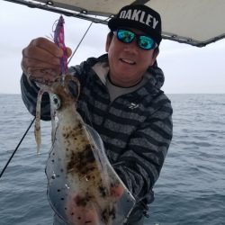 ソルトウォーターガイドフレンズ 釣果