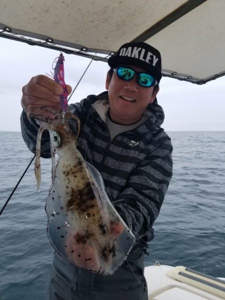 ソルトウォーターガイドフレンズ 釣果