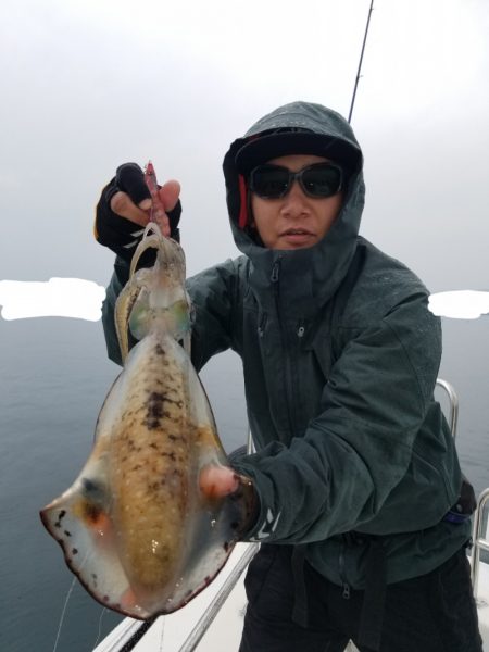 ソルトウォーターガイドフレンズ 釣果