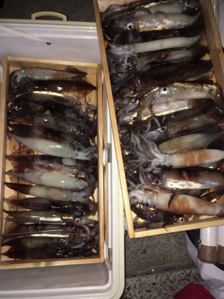 第二八坂丸 釣果