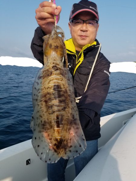 ソルトウォーターガイドフレンズ 釣果