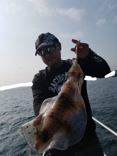 ソルトウォーターガイドフレンズ 釣果