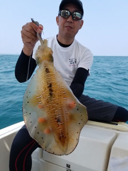 ソルトウォーターガイドフレンズ 釣果