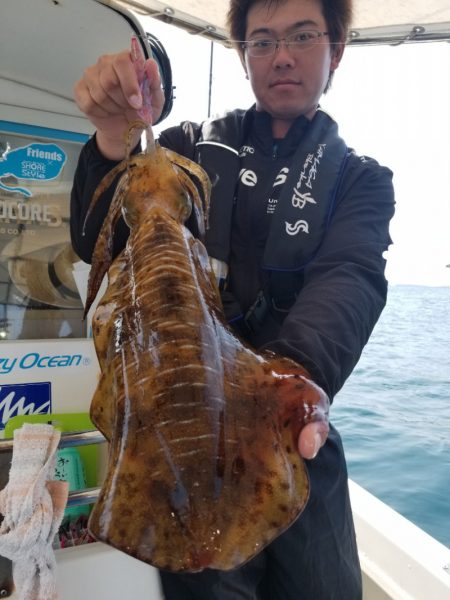 ソルトウォーターガイドフレンズ 釣果