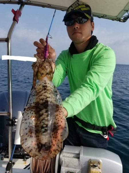 ソルトウォーターガイドフレンズ 釣果