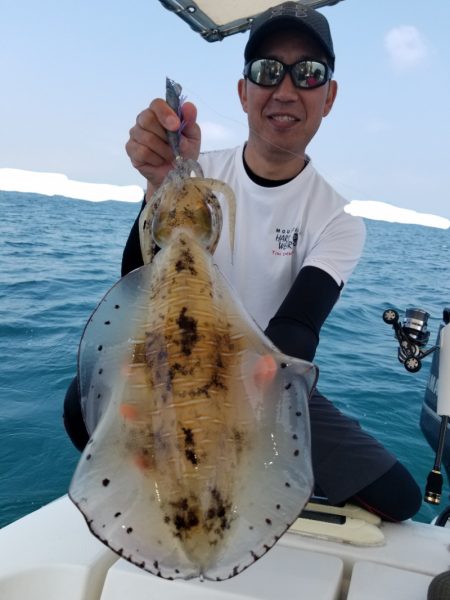 ソルトウォーターガイドフレンズ 釣果