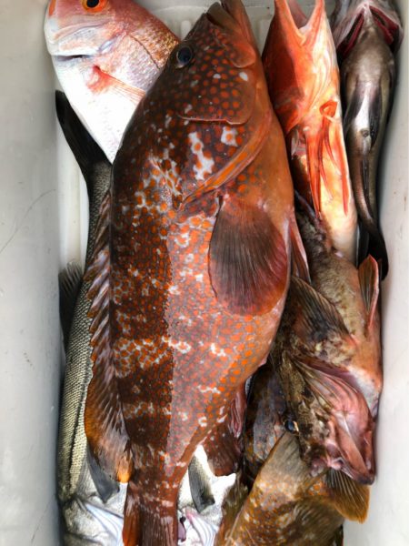 あみや渡船 JIGBOY 釣果