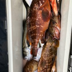 あみや渡船 JIGBOY 釣果