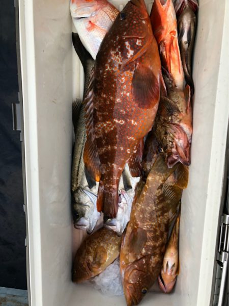 あみや渡船 JIGBOY 釣果