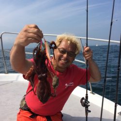 SeaRide(シーライド) 釣果