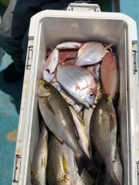 丸万釣船 釣果