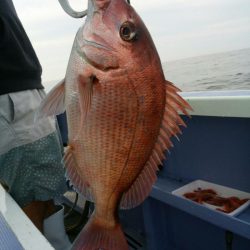 新幸丸 釣果