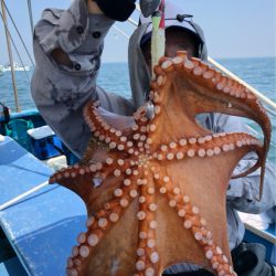 ヤザワ渡船 釣果