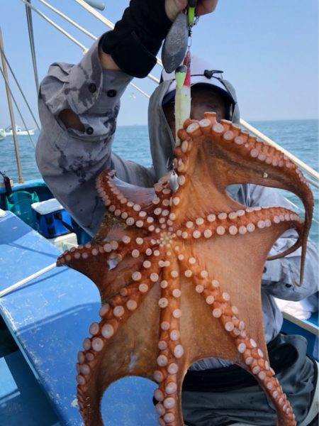 ヤザワ渡船 釣果