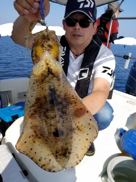 ソルトウォーターガイドフレンズ 釣果