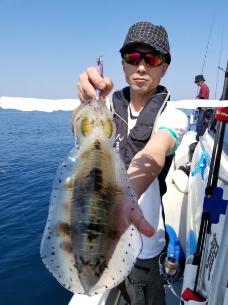 ソルトウォーターガイドフレンズ 釣果