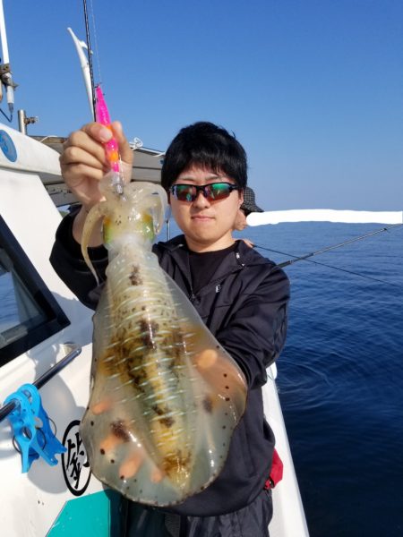 ソルトウォーターガイドフレンズ 釣果