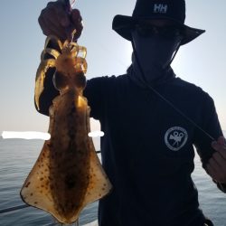 ソルトウォーターガイドフレンズ 釣果