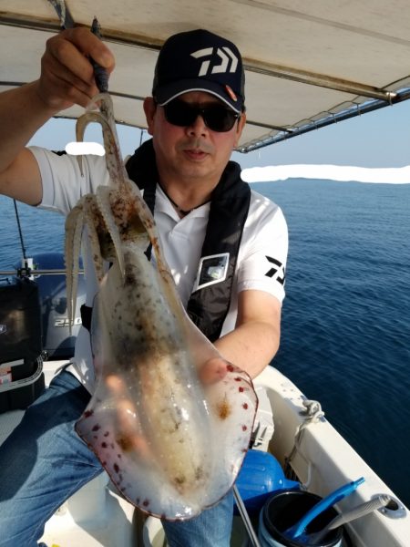 ソルトウォーターガイドフレンズ 釣果