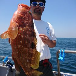 ありもと丸 釣果