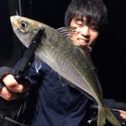 エヌスタイル 釣果