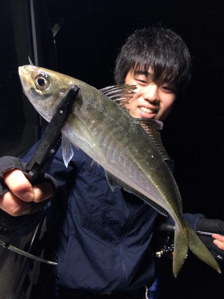 エヌスタイル 釣果