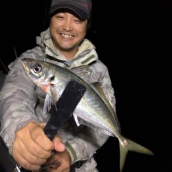 エヌスタイル 釣果