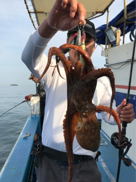 ヤザワ渡船 釣果