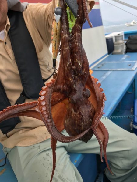 ヤザワ渡船 釣果