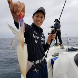 ソルトウォーターガイドフレンズ 釣果