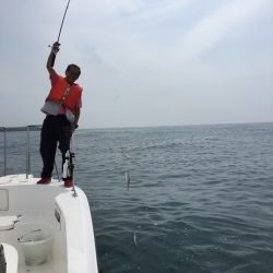 うさぎ丸 釣果