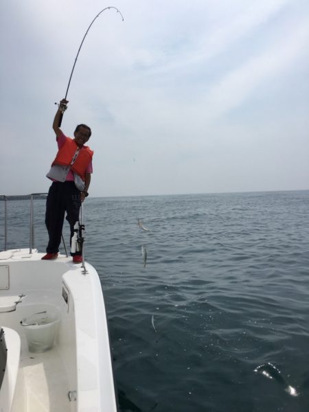 うさぎ丸 釣果
