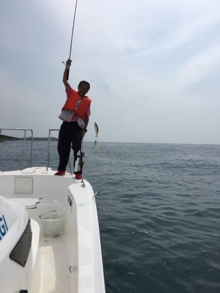 うさぎ丸 釣果
