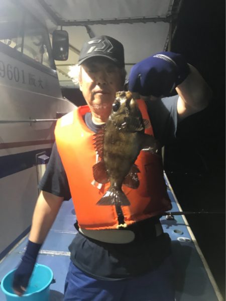 ヤザワ渡船 釣果