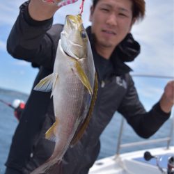 渡船屋たにぐち 釣果