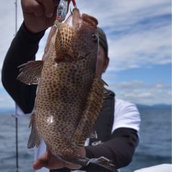 渡船屋たにぐち 釣果
