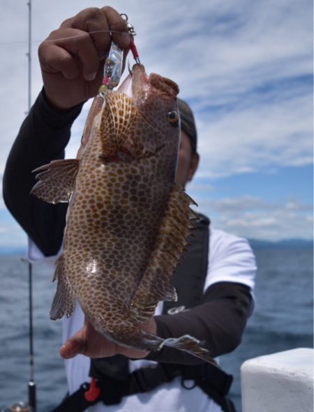 渡船屋たにぐち 釣果