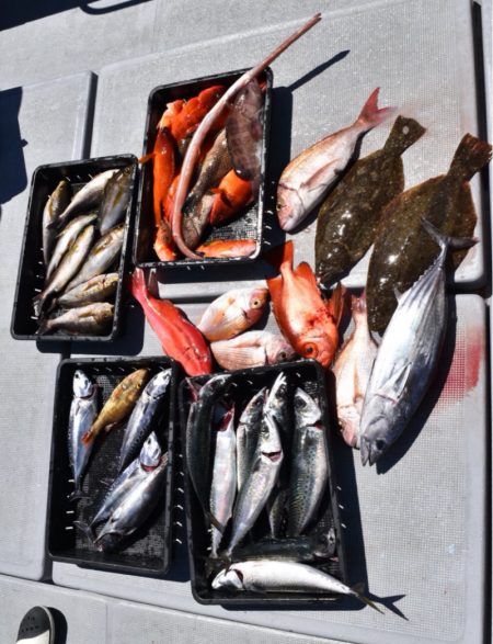 渡船屋たにぐち 釣果