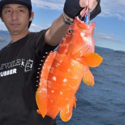 渡船屋たにぐち 釣果