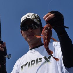 渡船屋たにぐち 釣果