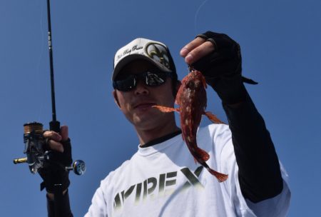 渡船屋たにぐち 釣果